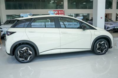 2025款 420km 活力版-外观-图片-有驾
