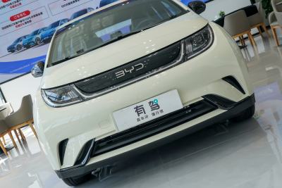 2025款 420km 活力版-外观-图片-有驾