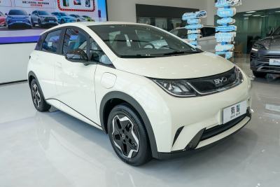 2025款 420km 活力版-外观-图片-有驾