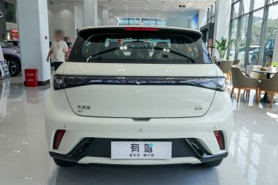 2025款 420km 活力版-外观-图片-有驾