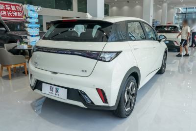 2025款 420km 活力版-外观-图片-有驾