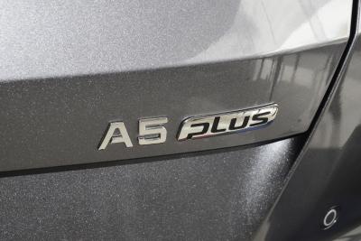 2023款 1.5T 自动尊贵型-外观-图片-有驾