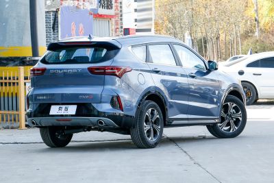 2022款 1.5T DCT远航版 7座-外观-图片-有驾