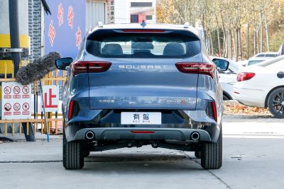 2022款 1.5T DCT远航版 7座-外观-图片-有驾