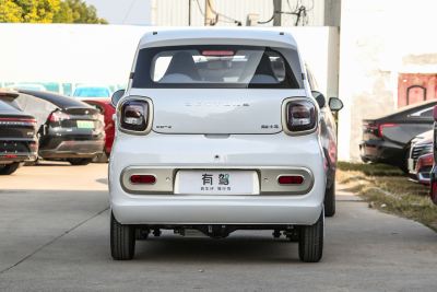 2025款 222km 灵动马-外观-图片-有驾