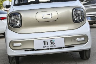 2025款 222km 灵动马-外观-图片-有驾