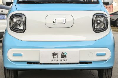 2025款 222km 灵动马-外观-图片-有驾