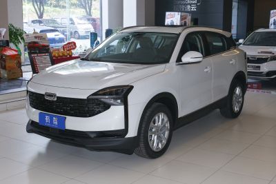 2020款 1.8T 护航精英型-外观-图片-有驾