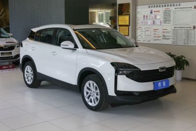 2020款 1.8T 护航精英型-外观-图片-有驾