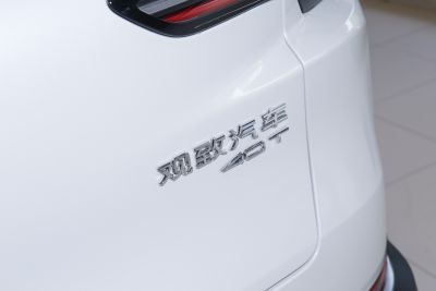 2020款 1.8T 护航精英型-外观-图片-有驾