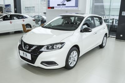2024款 1.6L CVT智行版-外观-图片-有驾