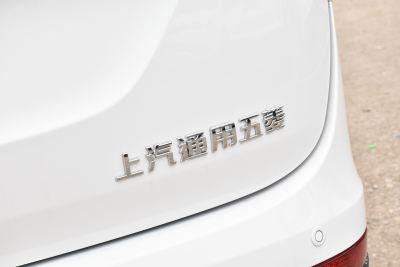 2021款 1.5T CVT旗舰型 7座-外观-图片-有驾