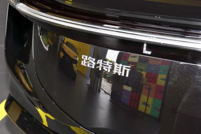 2025款 600 豪华版-外观-图片-有驾