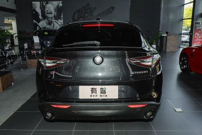 2024款 2.0T 280HP Dragon Edition 龙曜限定版-外观-图片-有驾