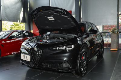 2024款 2.0T 280HP Dragon Edition 龙曜限定版-外观-图片-有驾