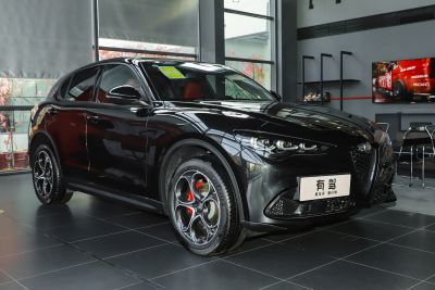 2024款 2.0T 280HP Dragon Edition 龙曜限定版-外观-图片-有驾