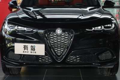 2024款 2.0T 280HP Dragon Edition 龙曜限定版-外观-图片-有驾