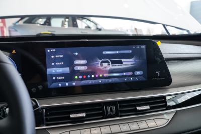 2025款 290T 两驱豪华版-内饰-图片-有驾