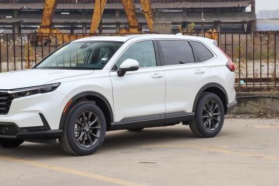 2026款 全球30年荣耀款 240TURBO 四驱臻享版-外观-图片-有驾