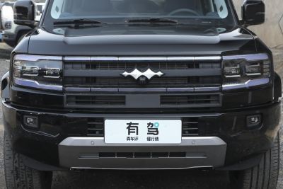 2025款 天神智驾Max版-外观-图片-有驾
