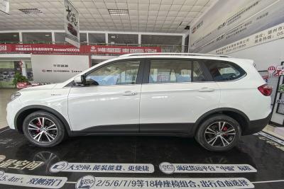 2020款 2.0L 手动精英版 7座-外观-图片-有驾