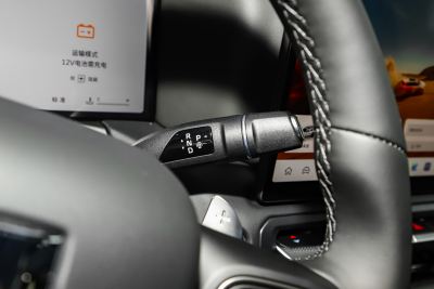2025款 2.4T 柴油版-内饰-图片-有驾