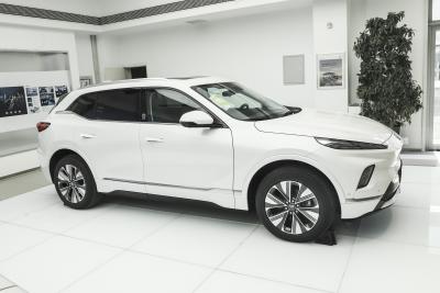 2025款 620KM尊享版-外观-图片-有驾