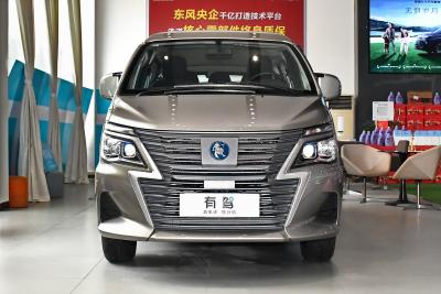 2025款 420km纯电 城运版5座-外观-图片-有驾