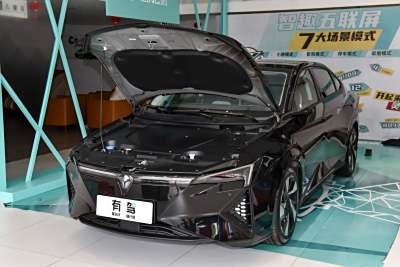 2024款 头号玩家版-外观-图片-有驾