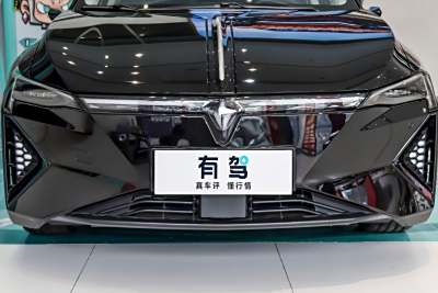 2024款 头号玩家版-外观-图片-有驾