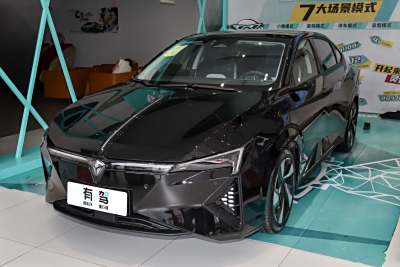 2024款 头号玩家版-外观-图片-有驾