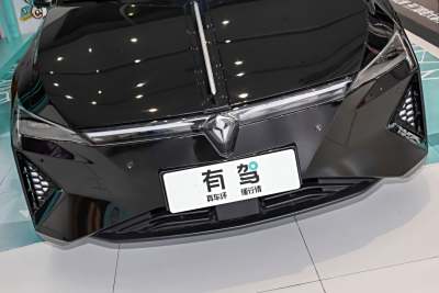 2024款 头号玩家版-外观-图片-有驾