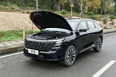 2025款 第四代 UItra 2.0T 新蓝鲸 智慧智擎型-外观-图片-有驾