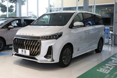 2023款 改款 PLUS 2.0T 汽油自动尊雅版-外观-图片-有驾