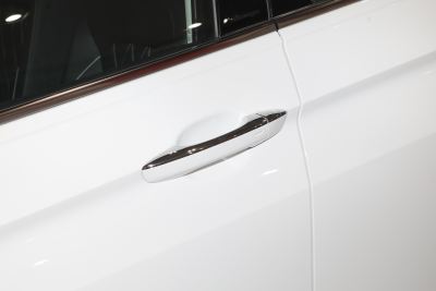 2024款 出众款 330TSI 自动两驱龙腾版-外观-图片-有驾