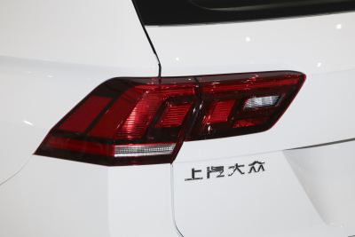 2024款 出众款 330TSI 自动两驱龙腾版-外观-图片-有驾