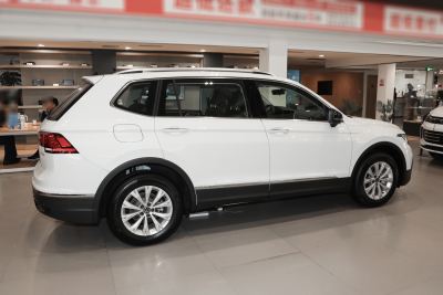 2024款 出众款 330TSI 自动两驱龙腾版-外观-图片-有驾