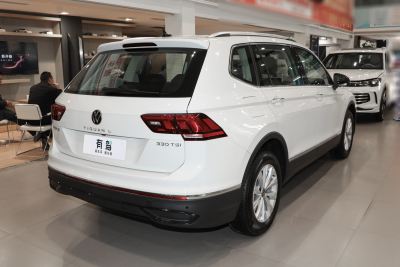 2024款 出众款 330TSI 自动两驱龙腾版-外观-图片-有驾
