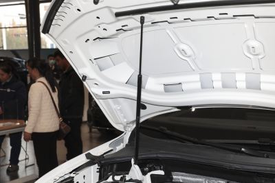 2024款 出众款 330TSI 自动两驱龙腾版-外观-图片-有驾