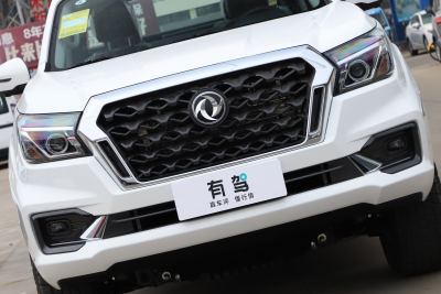 2024款 2.3T 自动四驱柴油尊享版-外观-图片-有驾