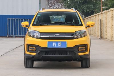 2020款 Pro远行版 智派型-外观-图片-有驾