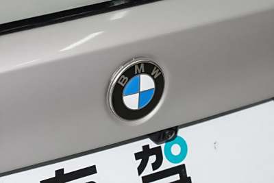 2025款 330Li 尊享型 M运动曜夜套装-外观-图片-有驾