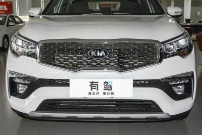 2020款 2.0T 自动两驱GLS 7座-外观-图片-有驾