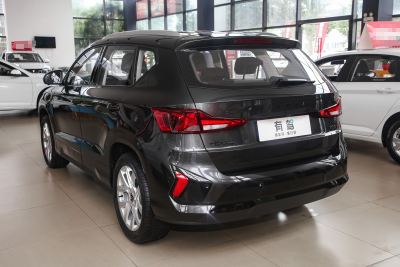 2025款 280TSI 自动好运Plus版-外观-图片-有驾