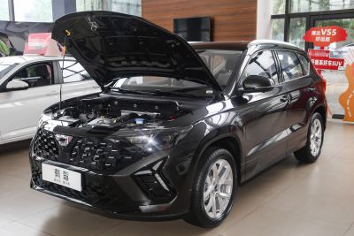 2025款 280TSI 自动好运Plus版-外观-图片-有驾