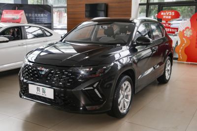2025款 280TSI 自动好运Plus版-外观-图片-有驾