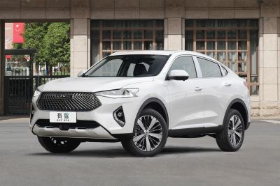 2021款 2.0T 两驱极智科技版-外观-图片-有驾