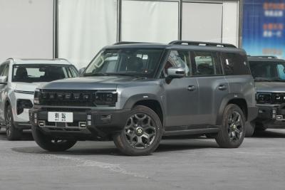 2025款 206km XWD 穿越加长版 7座-外观-图片-有驾
