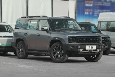 2025款 206km XWD 穿越加长版 7座-外观-图片-有驾