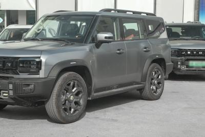 2025款 206km XWD 穿越加长版 7座-外观-图片-有驾